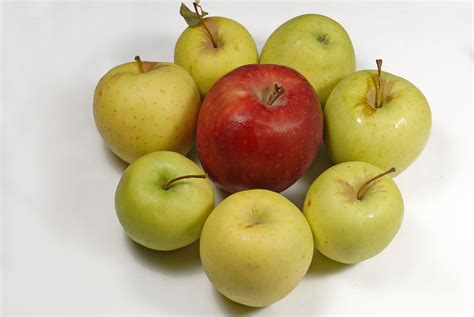 green apples and red in contrast Free Photo Download | FreeImages