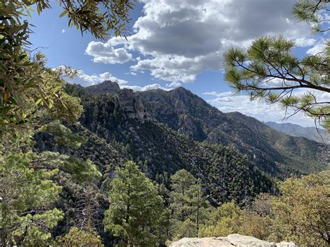 Green Mountain Trail Mount Lemmon AZ USA #hiking #camping #outdoors #nature #travel #backpacking ...