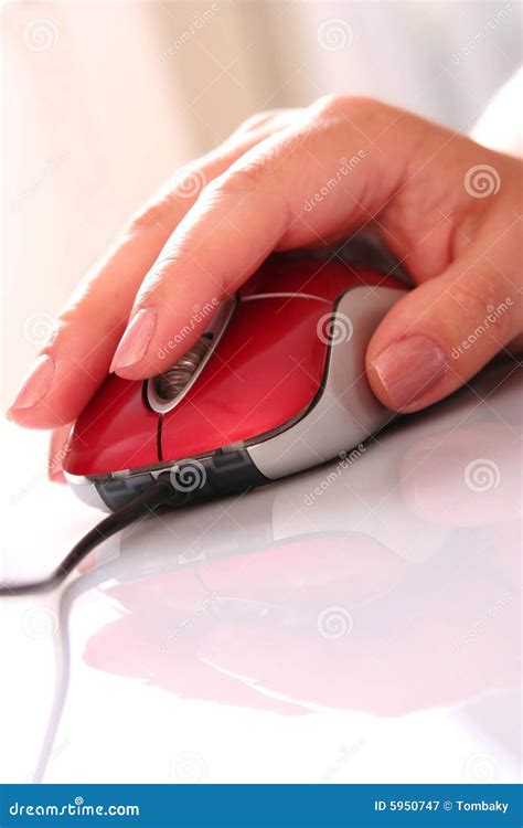 Computer mouse with hand stock image. Image of office - 5950747