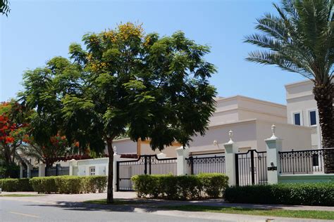 Emirates Hills Guide | Propsearch Dubai