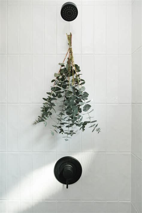 Blog — FLEURISH INTERIORS | Plant installation, Eucalyptus shower ...