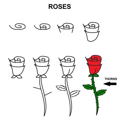 Tutorial for drawing simple roses. | Flower drawing tutorials, Roses ...