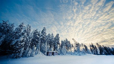 Husky Tour in the Wilderness of Lapland - 4 Days 3 Nights - Nordic Visitor