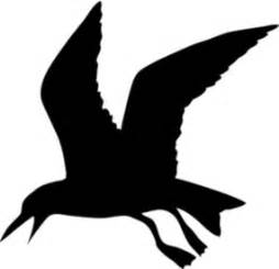 Seagull Outline - ClipArt Best