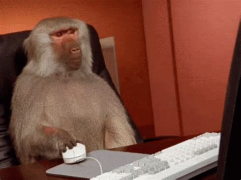 Monkey On Computer GIFs | Tenor