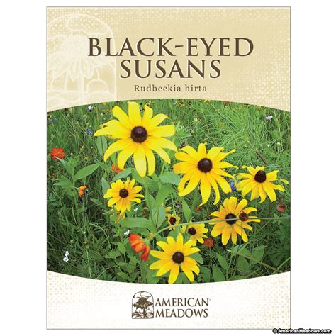 Black Eyed Susan Seed Packet | Black eyed susan, American meadows, Seed packets