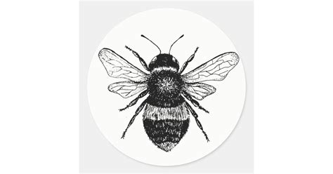 Vintage Bee Sticker Collection | Zazzle