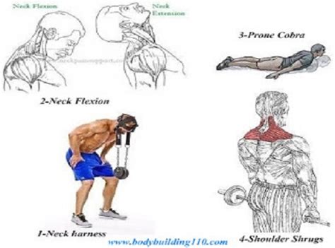 4 Best Neck Exercises ~ www.bodybuilding110.com