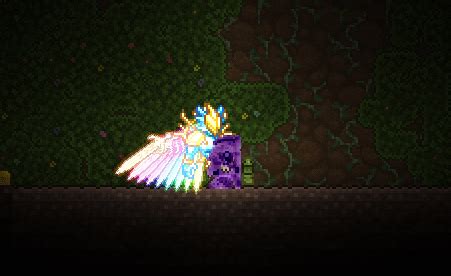 Check out these new wings I found. : r/Terraria