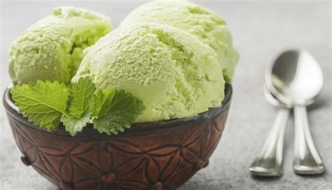 Recipe- Summer Special Kiwi Ice Cream - lifeberrys.com