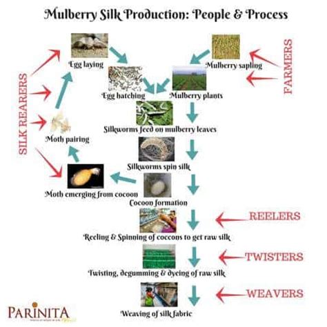 Sericulture in India - UPSC - UPSC Notes » LotusArise