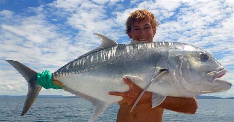 Trevally - Fishing Cairns