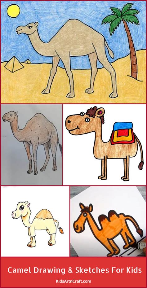 Camel Drawing & Sketches For Kids - Kids Art & Craft