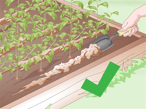 How to Start a No-Dig Garden: A Comprehensive Guide - Green House Tutorial