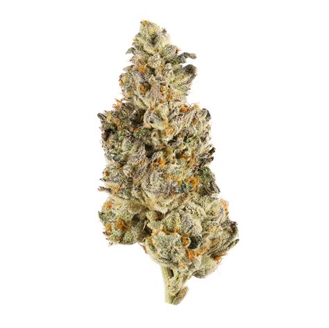 Banana Split Strain | Cannabis Strains | Flavor Fix