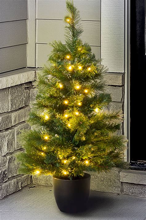 The 3ft Pre-lit Majestic Dew Pine Potted Tree (Indoor/Outdoor)