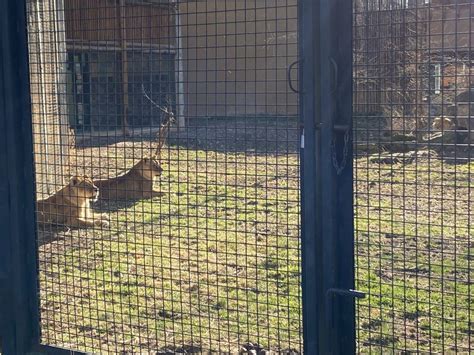 Visiting Zoo Boise: Family-friendly things to do in Boise [video ...