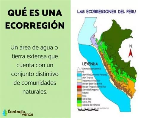 What is an ECOREGION - definition and examples