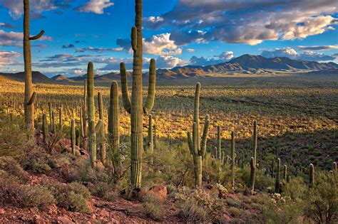 Arizona Land Conservation: Trust for Public Land