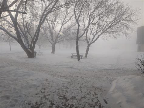 Ice Fog in Rural Alberta : r/alberta