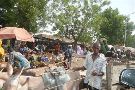 Segou, Mali - Millennium Cities Initiative