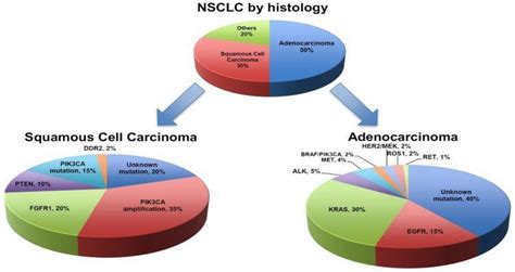 Frontiers | State-of-the-art combination treatment strategies for advanced stage non–small cell ...