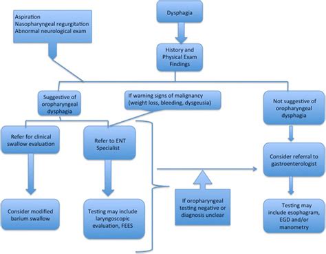 Dysphagia Flow Chart