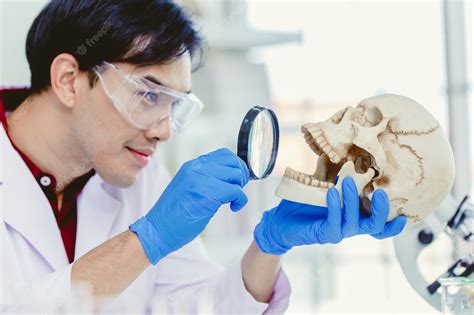 Premium Photo | Scientist physical anthropology in biological science lab studying human bone ...