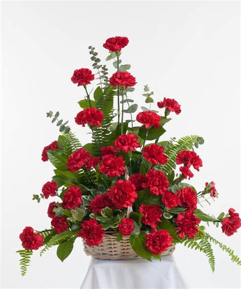 Red Carnation Basket | Phoenix (AZ) Sympathy Flower Delivery | Phoenix Flower Shops