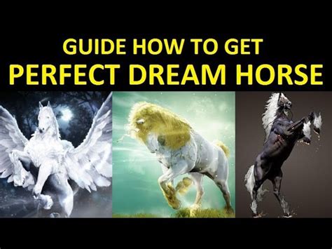 How to dream horse bdo