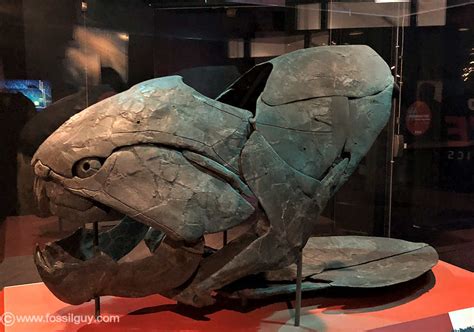 Dunkleosteus - Your Guide To The Giant Armored Placoderm: Fossilguy.com