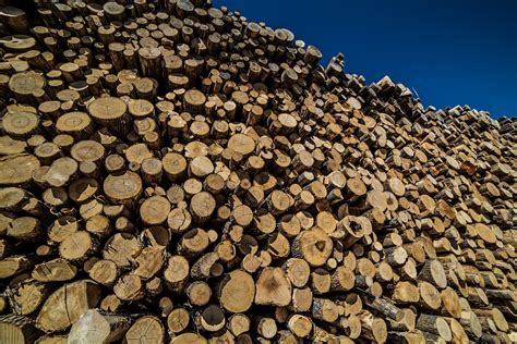 Free photo Image - logs wood timber pile pattern