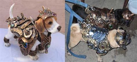 armored dogs :D | Dogs