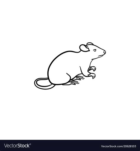 Lab rat hand drawn sketch icon Royalty Free Vector Image