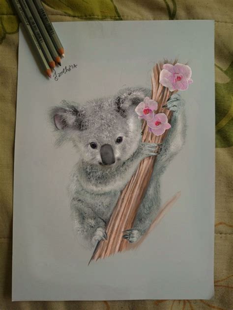 How To Draw A Cute Realistic Koala - Draw Easy