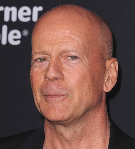 Bruce Willis Young Pictures / Bruce Willis Wikipedia : Bruce willis is ...