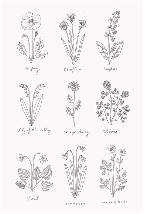 Wildflower illustrations | 작은 문신 디자인, 문신 디자인, 꽃 드로잉