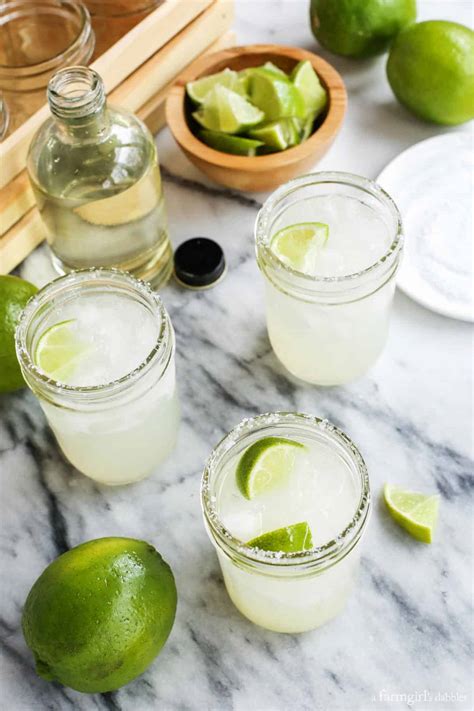 Margaritas for a Crowd (Or For One) l A Farmgirl's Dabbles