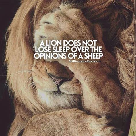 30 Motivational Lion Quotes In Pictures - Courage & Strength