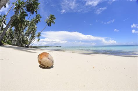 The Life of the Mentawai Tribe