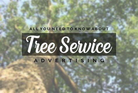 Best Tree Service Advertising Methods | Arborists Near Me