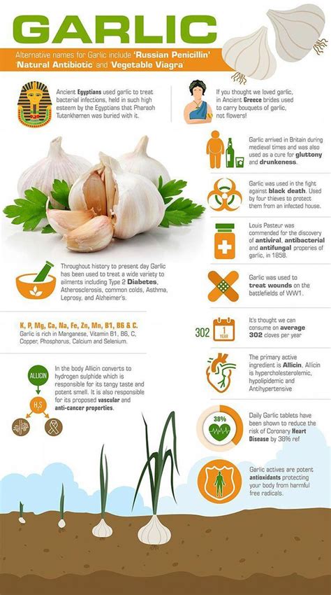 Awesome #benefits info are available on our website. look at this and you will not be … | Garlic ...