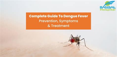 Dengue Fever Symptoms, Causes And Treatment, 41% OFF