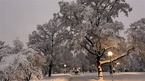 Munich flights, trains cancelled as heavy snow blankets Bavaria | World ...