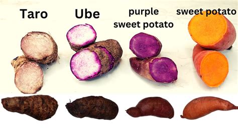 What's the difference between Taro, Ube(purple yam), Purple sweet potato and sweet potato?区别 ...