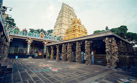 Sevas And Poojas Of Srisailam Temple,Kurnool District Andhra Pradesh