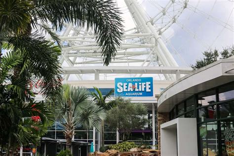 12 Best Aquariums in Florida You Shouldn't Miss - Florida Trippers