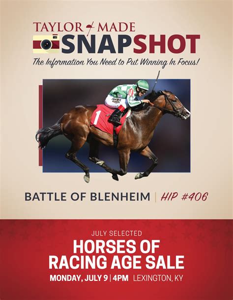 Battle of Blenheim by taylormadesales - Issuu