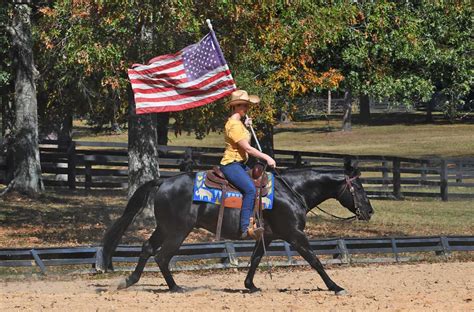 Colt | Horse of My Dreams