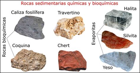 Ejemplos De Rocas Metamorficas Con Imagenes – Nuevo Ejemplo